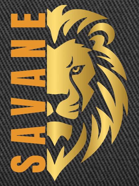 Lion doré 