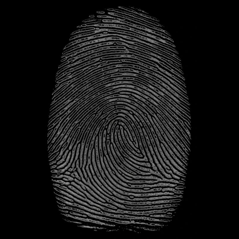 Fingerprint Silhouette Pattern