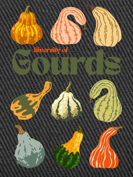 Diversity of Gourds