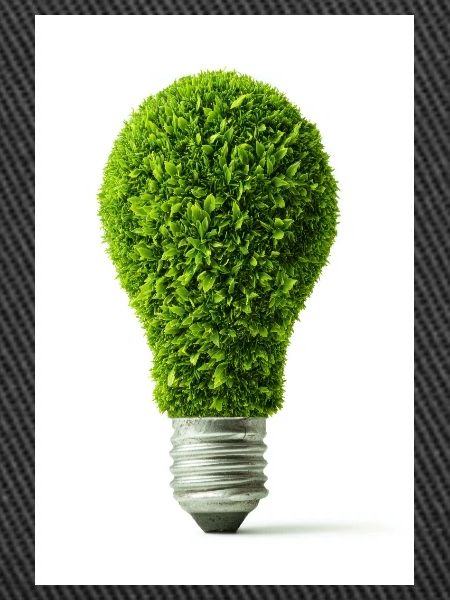 Leafy Glow Glühbirne Design