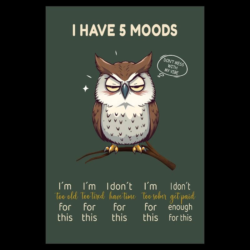 Grumpy Owl - J’ai 5 humeurs Design drôle