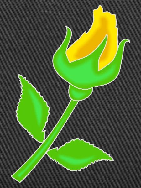 Rose en jaune