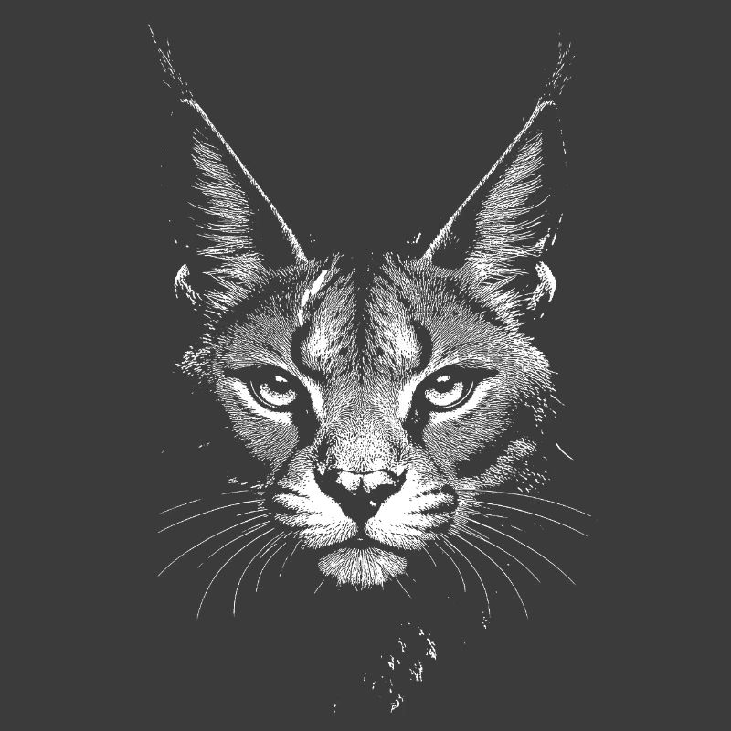 Caracal