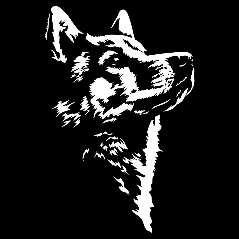 Chien en silhouette de Spitz finlandais Wilsigns