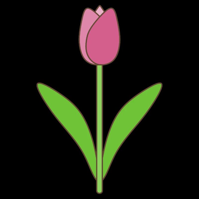 Tulip Bloom Rose
