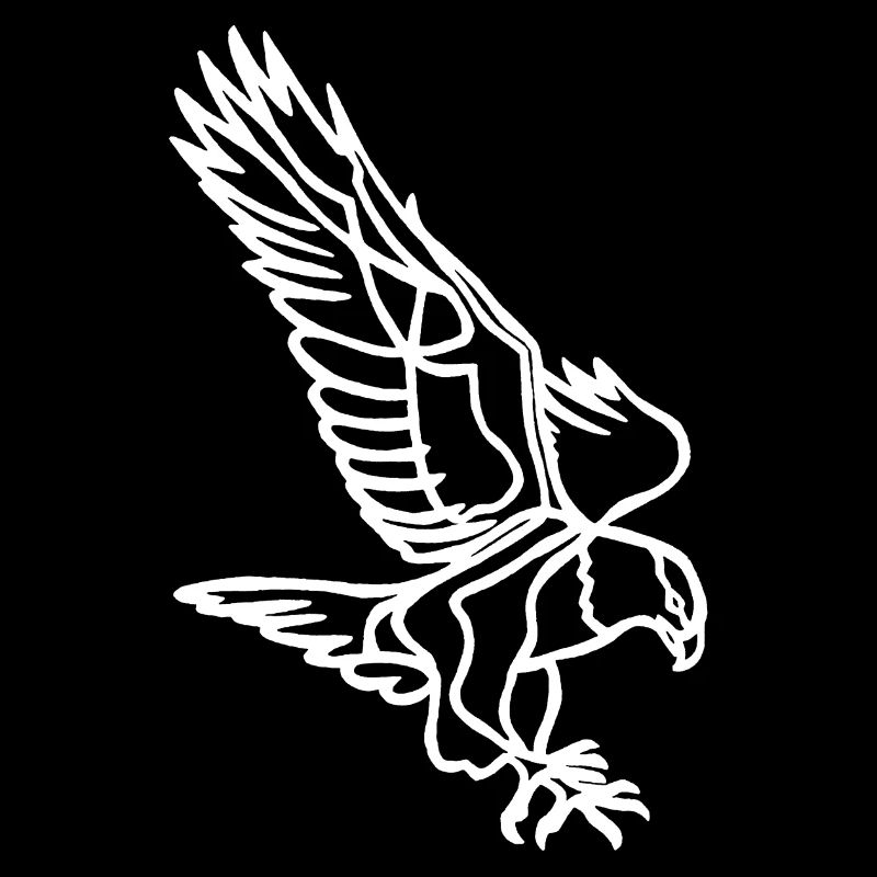 Weißer Adler im Flug