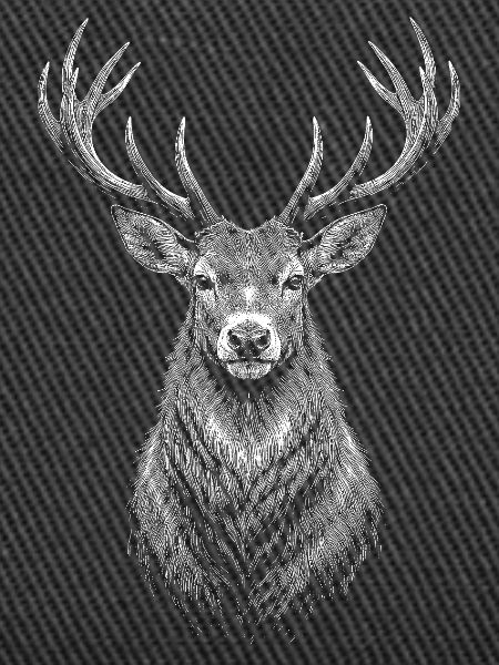 Hirsch