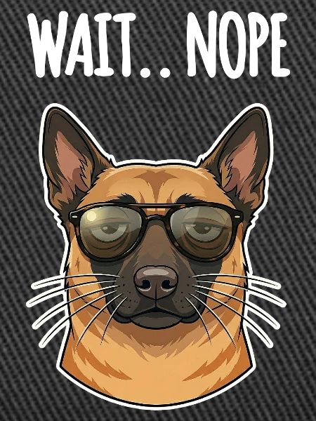 Malinois Non