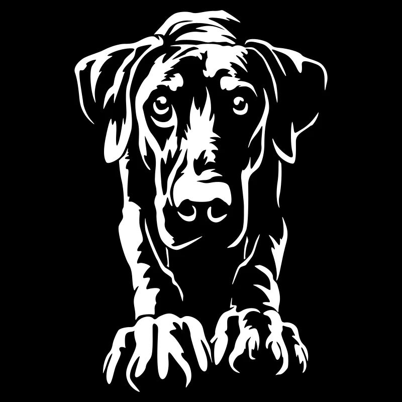 Dobermann "Black Edition"