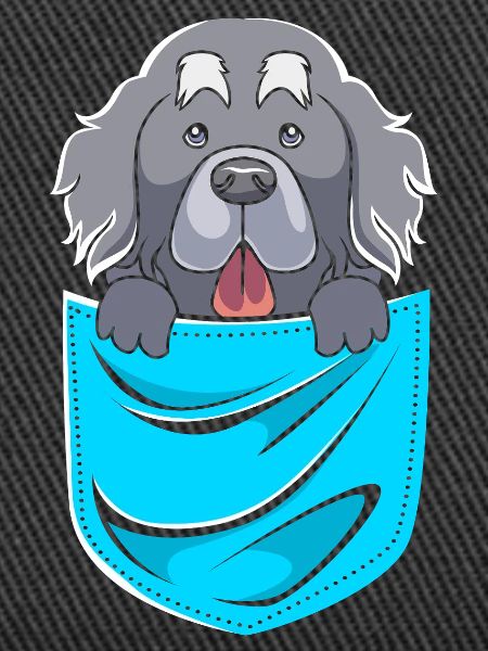 Newfoundland
