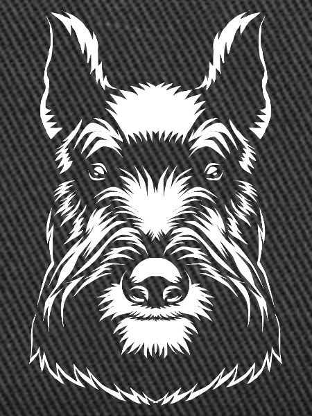 Scottish Terrier