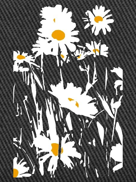 DAISIES