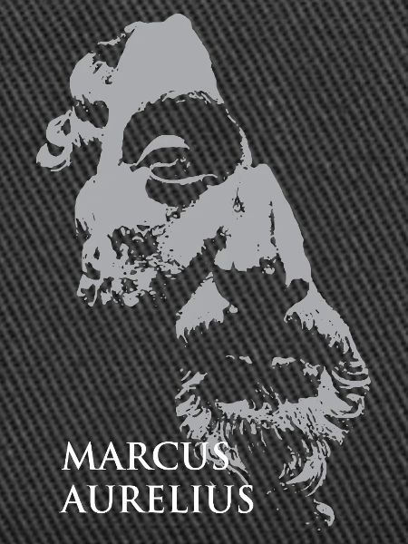 Marcus-Aurelius-Porträt in Grau