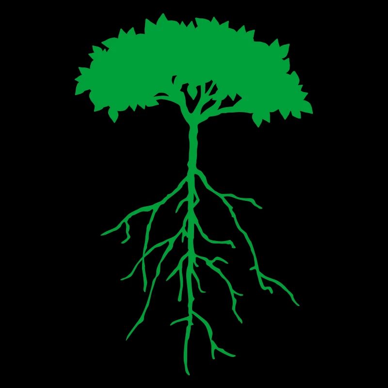 root tree