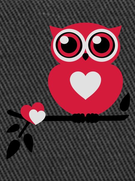 Owl Love