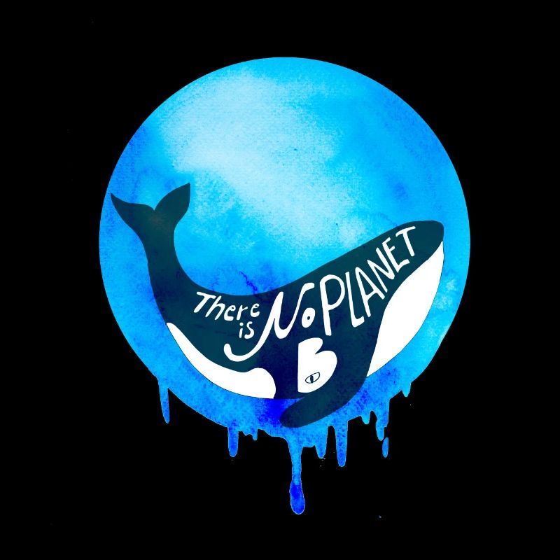 Orca Wal Naturschutz Tierliebe Geschenk