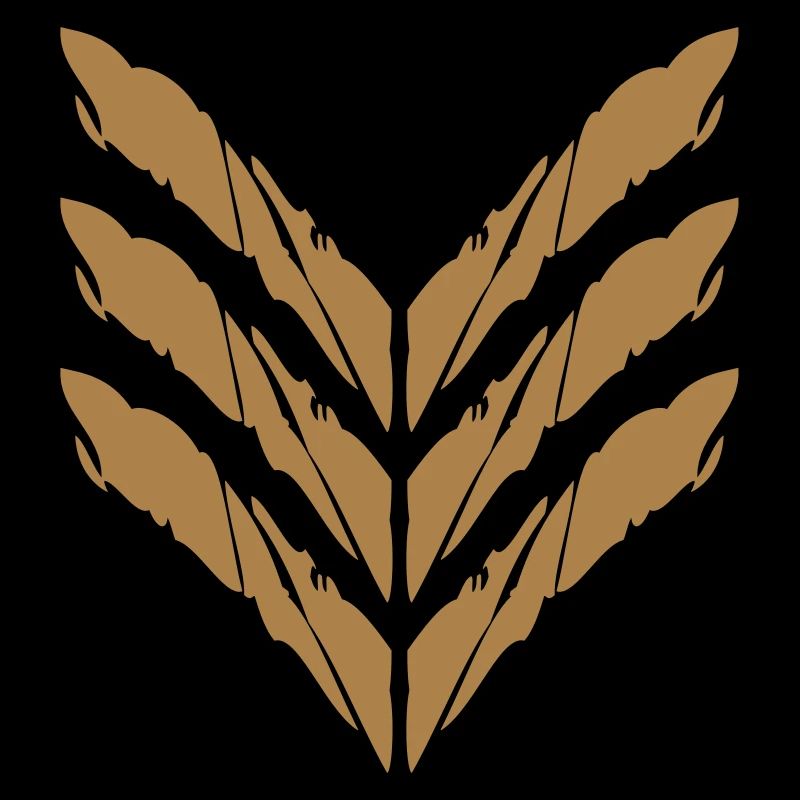 Rang Abzeichen General Soldat