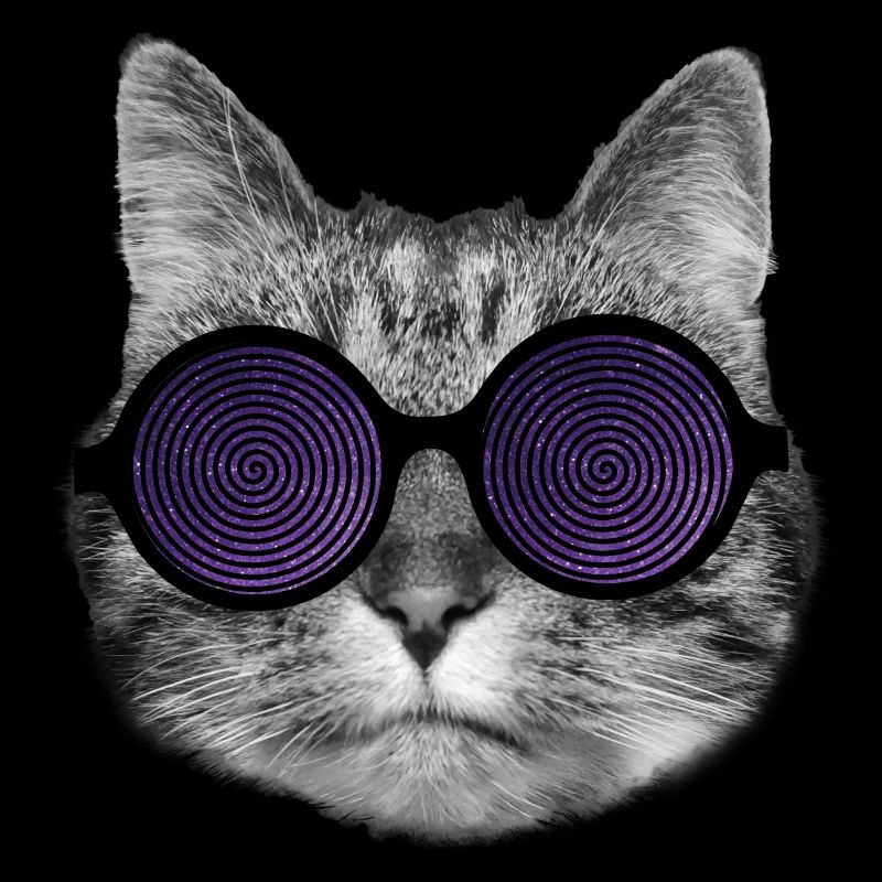 Cat and hypnotic glasses