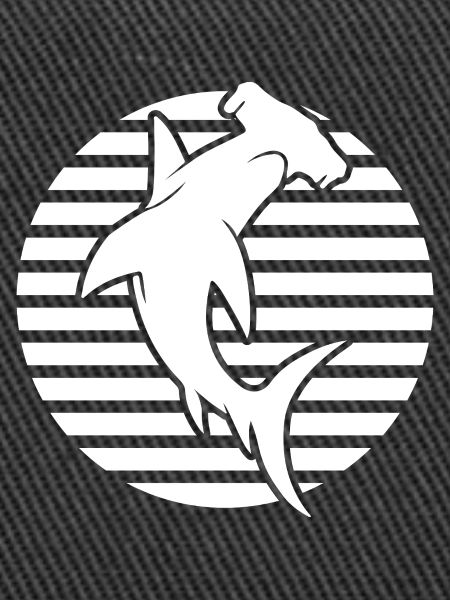 requin-marteau, plongée