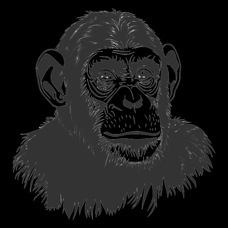 Schimpanse - Affe