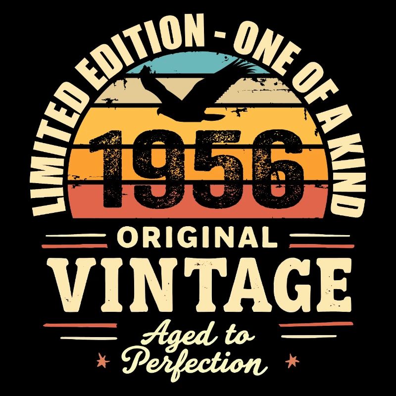 1956 Birthday Gift Vintage 1956 Retro 1956