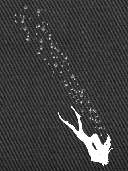 Bulles de Plongeuse