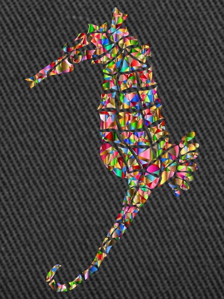 Rainbow Seahorse