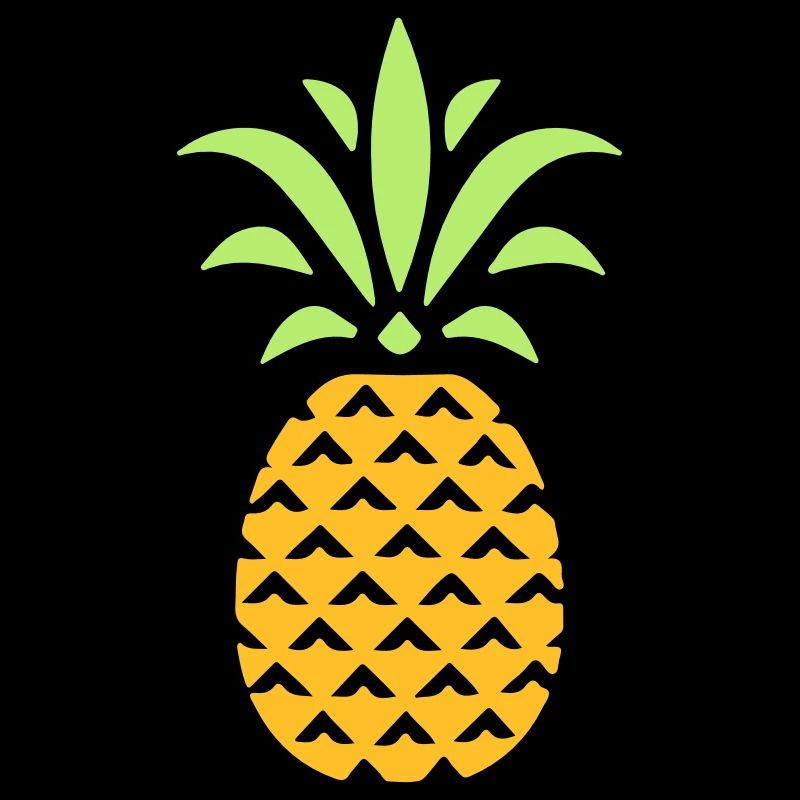 ANANAS STYLISÉ