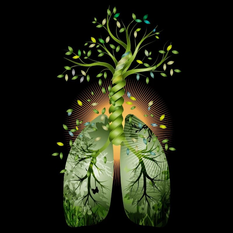 The forest, the green lung. Tree with lung