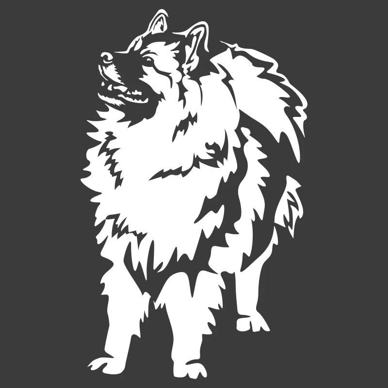 Wolfsspitz « Édition Noire »