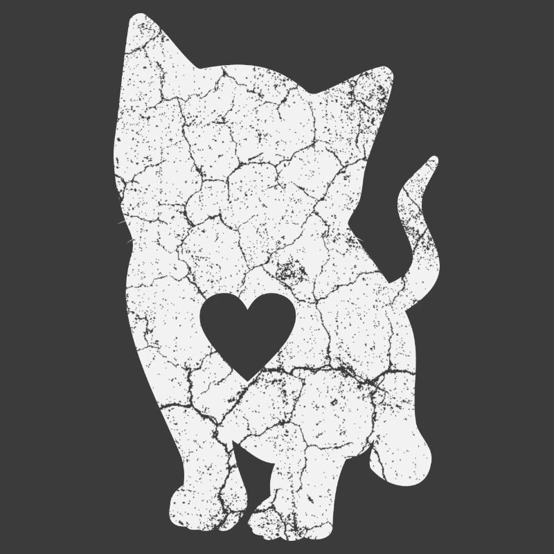 Katze Katzen