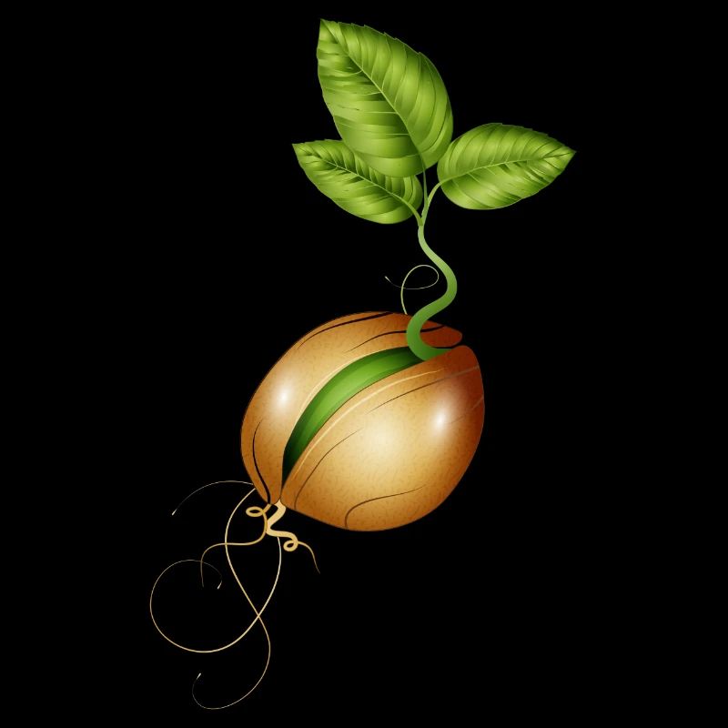 germinating small in the soil