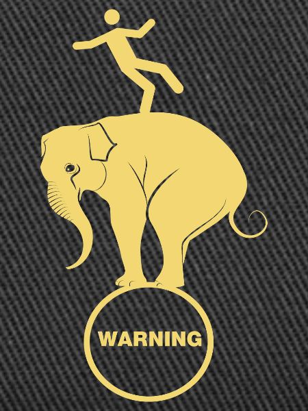 Elephant and human ballanging