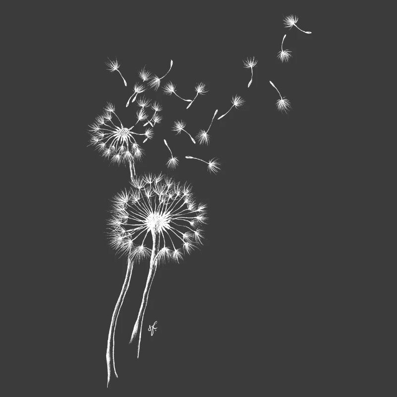 Pusteblumen