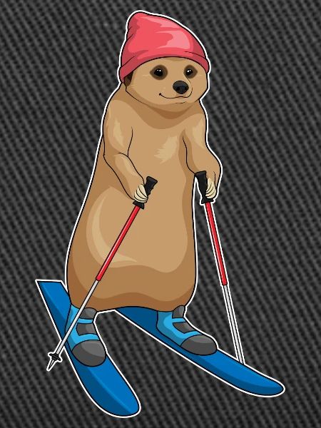 Erdmännchen Skifahrer Ski