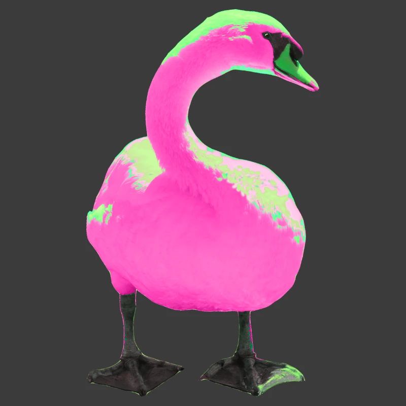 Schwan