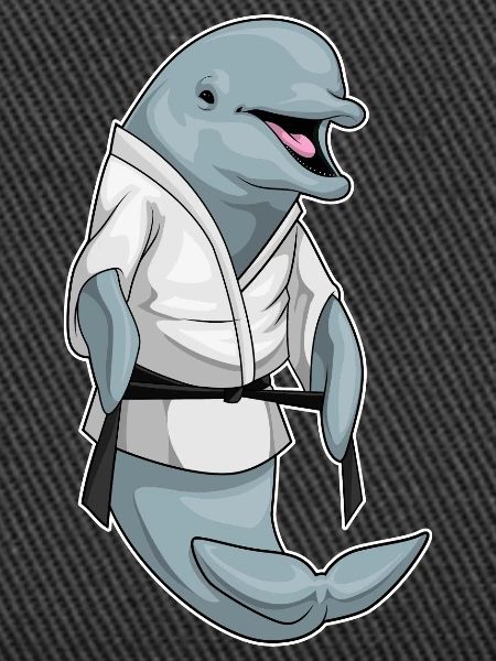 Dolphin Karate Martial Arts