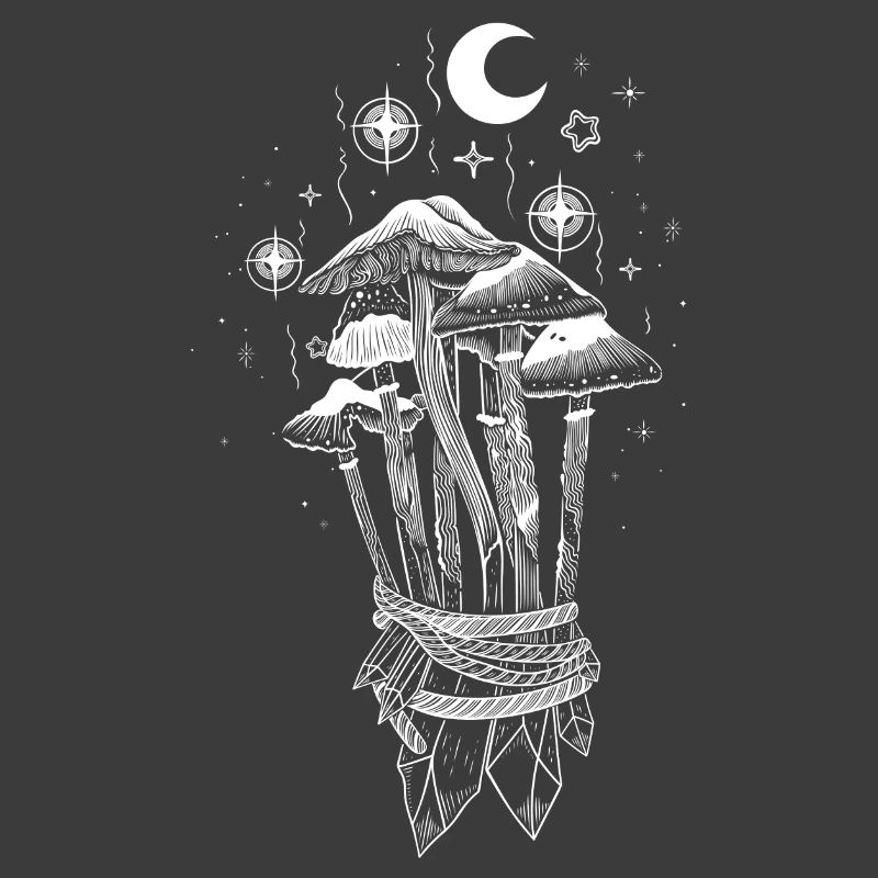 Champignons Magic Champignons Magiques