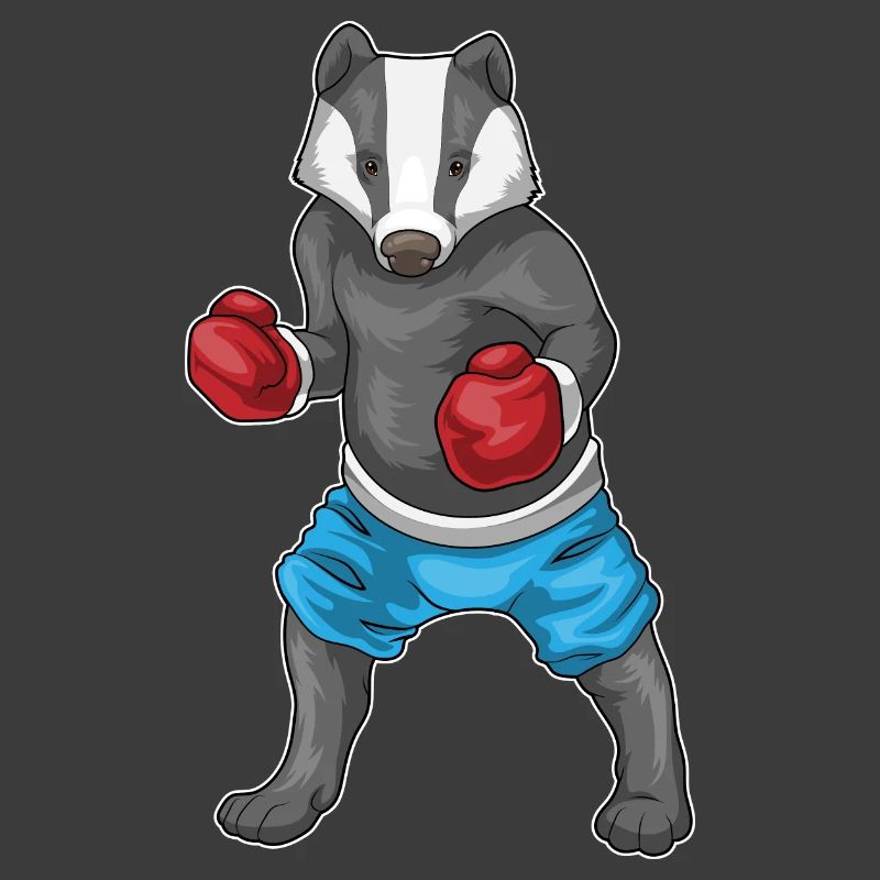 Badger Boxer Gants de boxe Boxe
