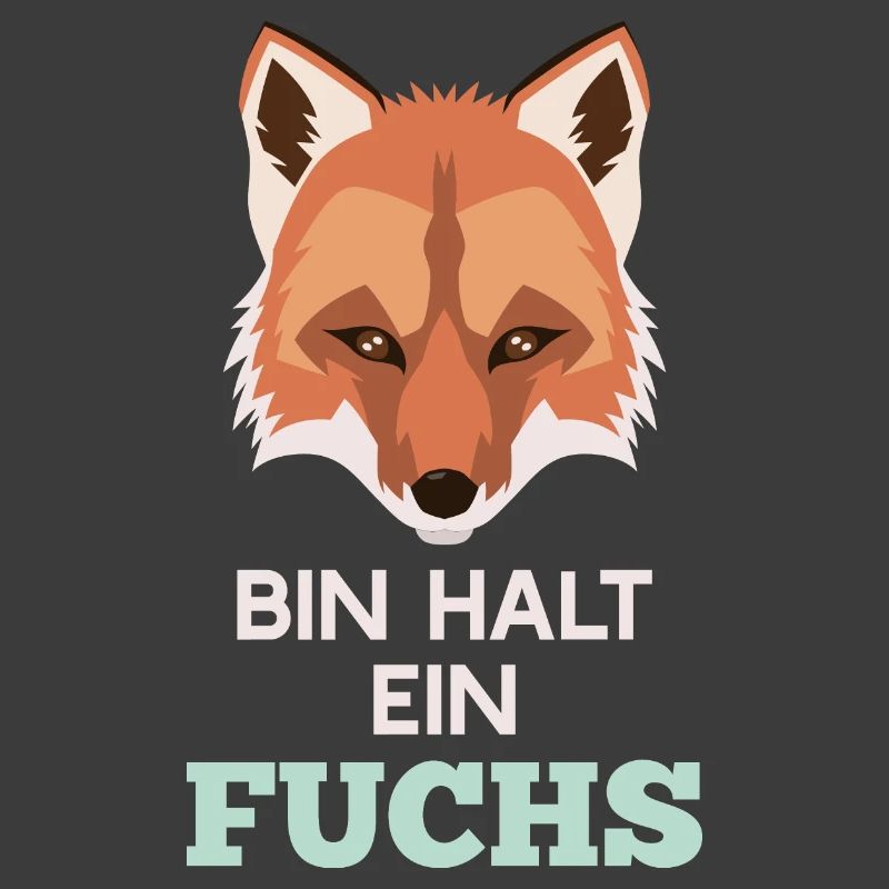 Bin halt ein Fuchs Rotfuchs Klug Clever