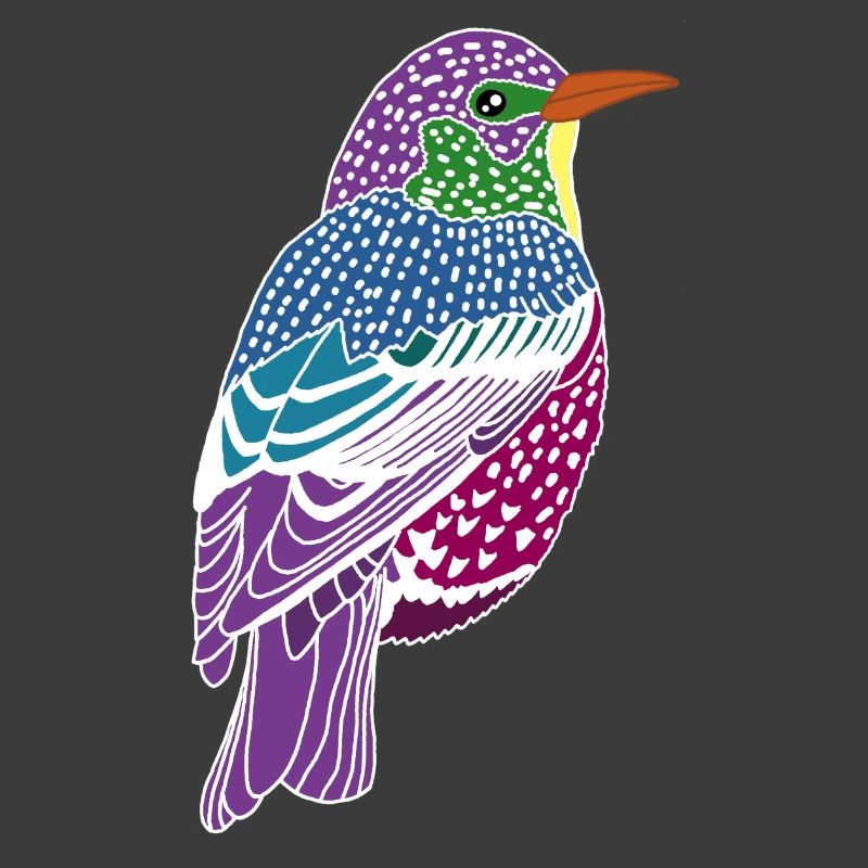 Mehrfarbiger Vogel