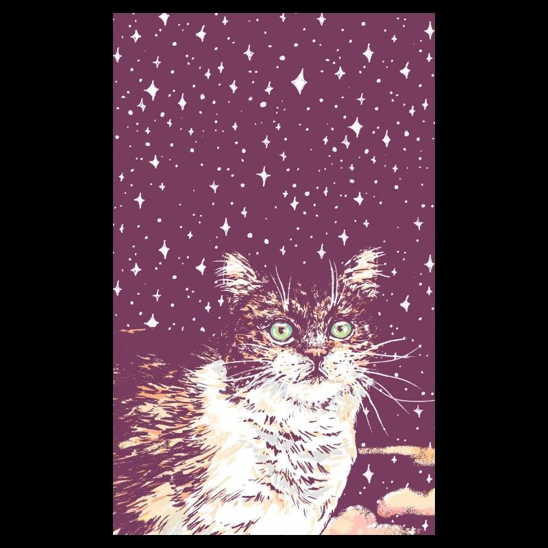 STAR KITTY