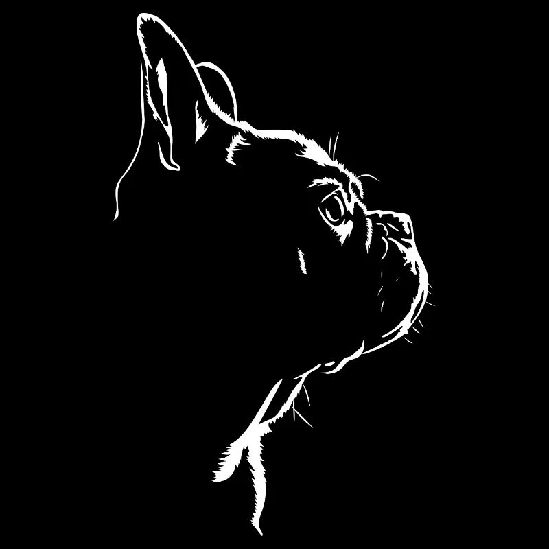 Bouledogue Français Chien Chiens Wilsigns