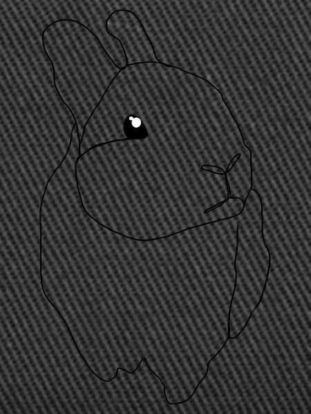 mignon lapin
