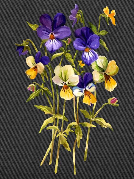Fleur