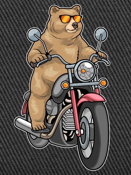 Bear Motorcycle