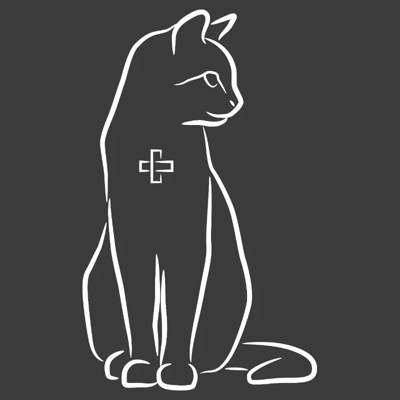 Tierarzt Katze