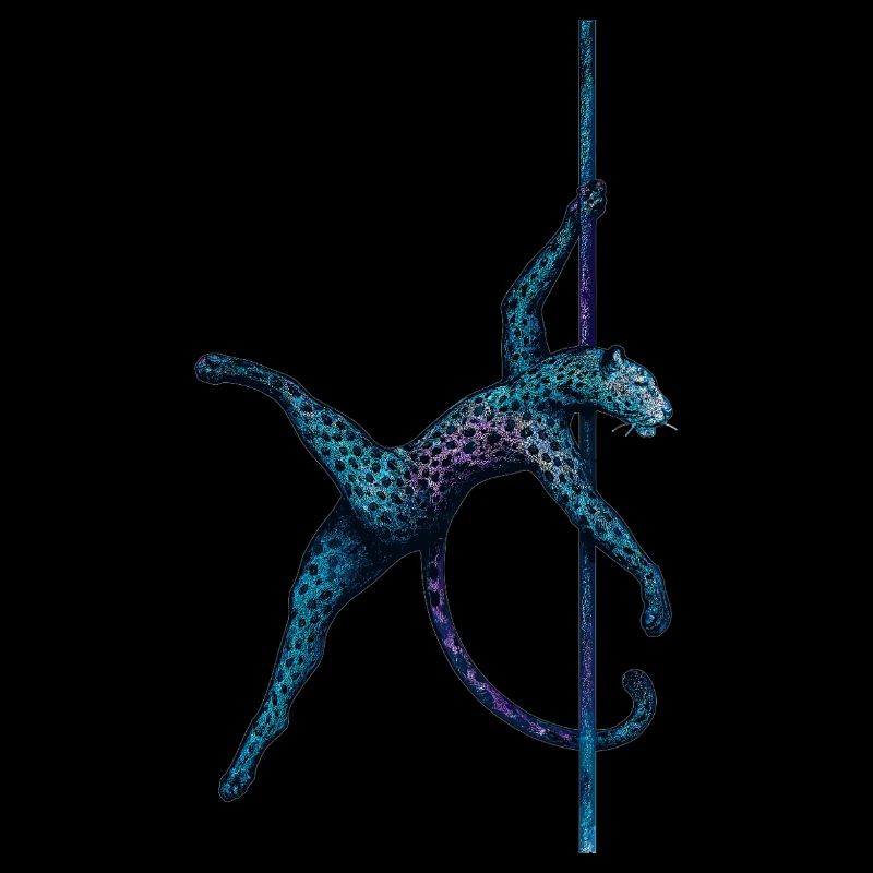 Pole dance Léopard Pole Dancer Pole Cadeau