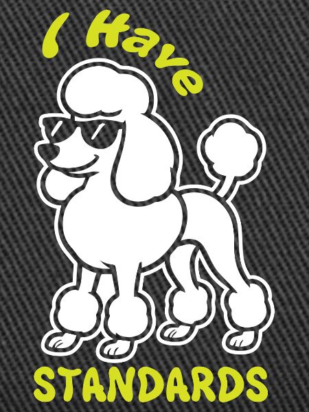 Expressive poodle with sunglasses