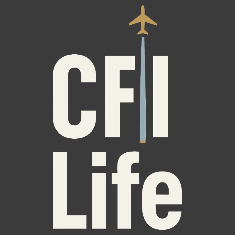 Flight Instructor Cfi Pilot Aviation Instructor